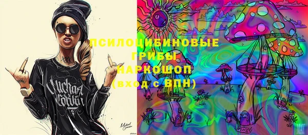 кокс Алексин