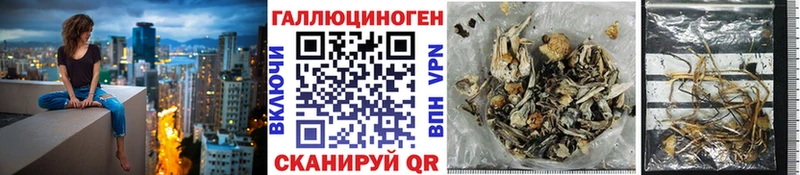 Галлюциногенные грибы MAGIC MUSHROOMS  Харовск 